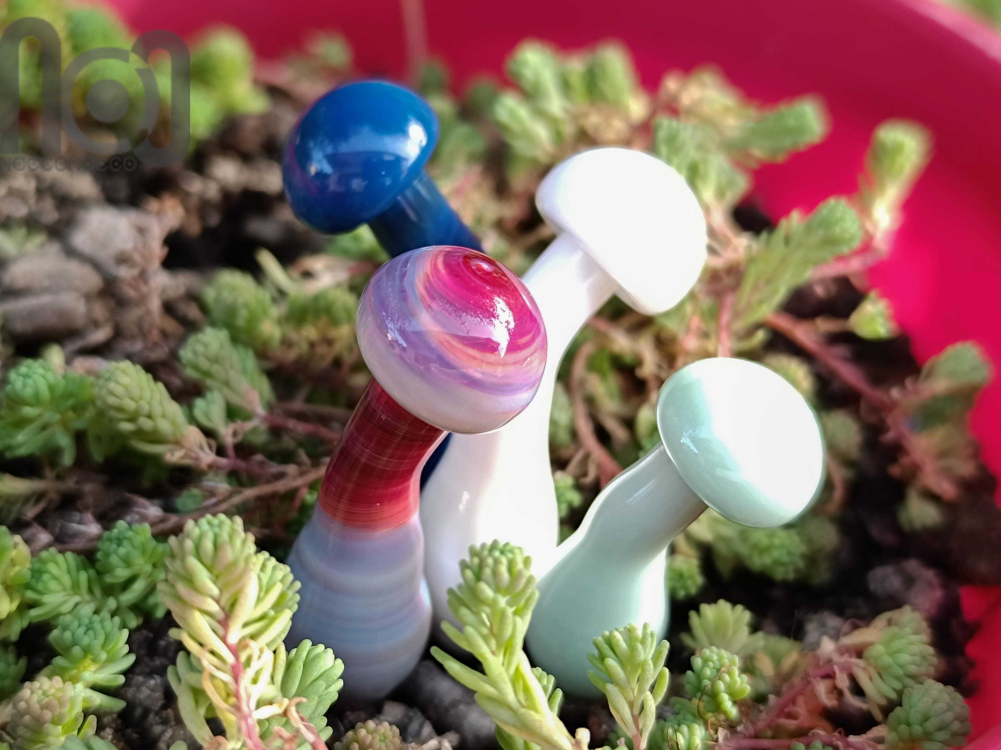 Plant Poker Mushrooms — handmade borosilicate glass by NoccoNocco, main view, made in Greece